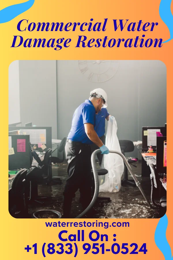 Commercial Water Damage Restoration in Strandburg, SD